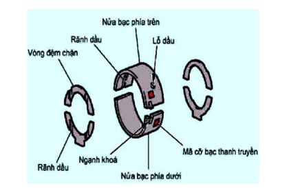 Bạc trục khuỷu.